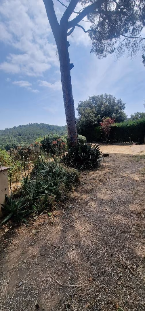 Casa adosada en  Carretera Rubi 25 - Foto 4