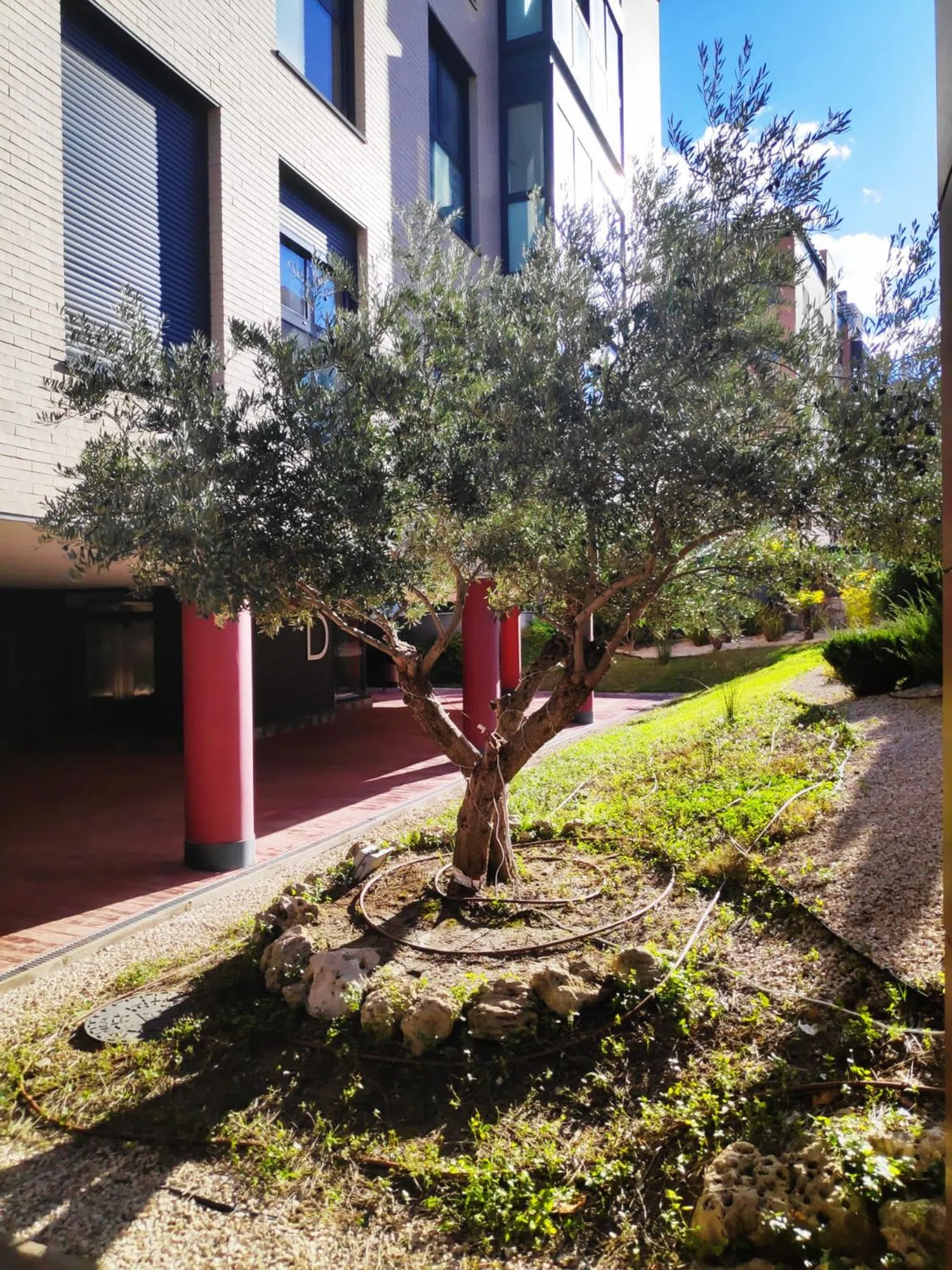 Piso en calle de Américo Castro, 114 - Foto 17