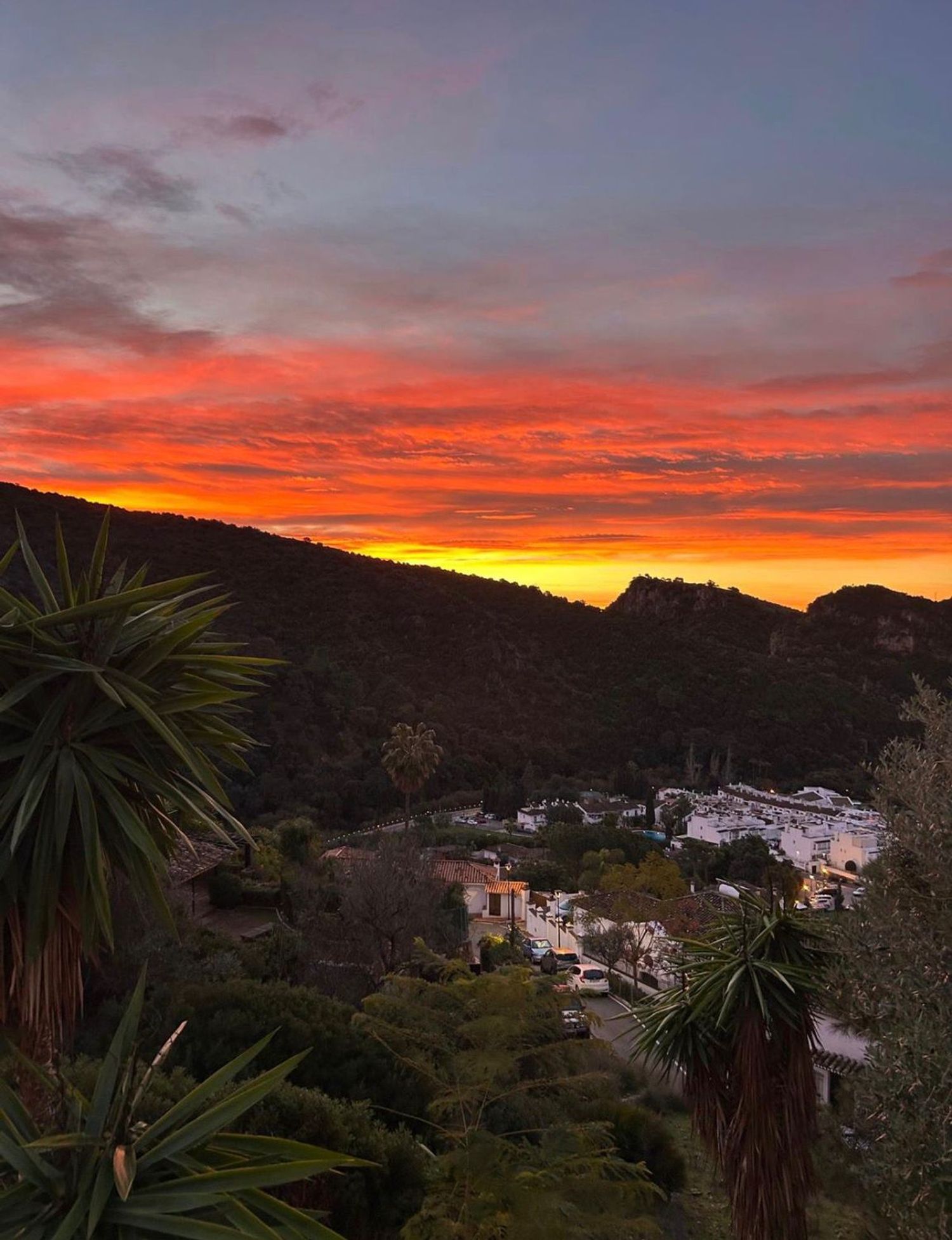 Casa independiente en calle Lirios, 9 - Foto 3