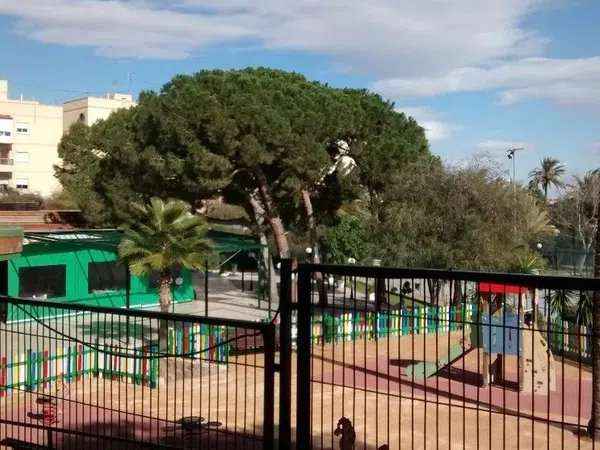 Piso en Calle Deportista Joaquin Blume, 9, El Palmeral-Urbanova-Tabarca - Foto 9