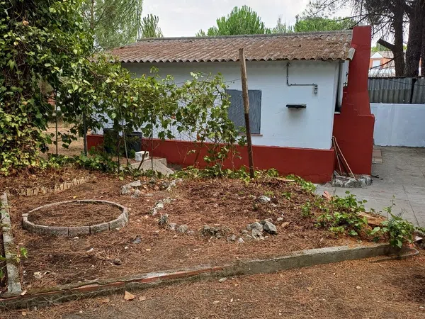 Casa o chalet independiente en Calle del Pinar, 114 - Foto 10