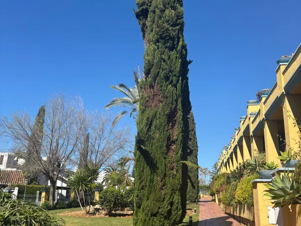 Piso en Avenida Reina Doña Sofia, 1, Bahía de Marbella - Foto 26