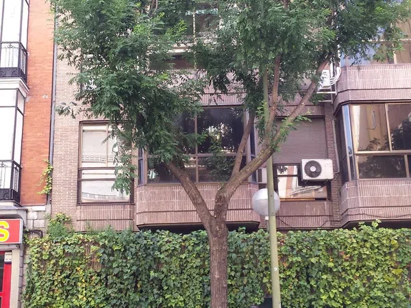 Piso en calle de guzmán el bueno, 16