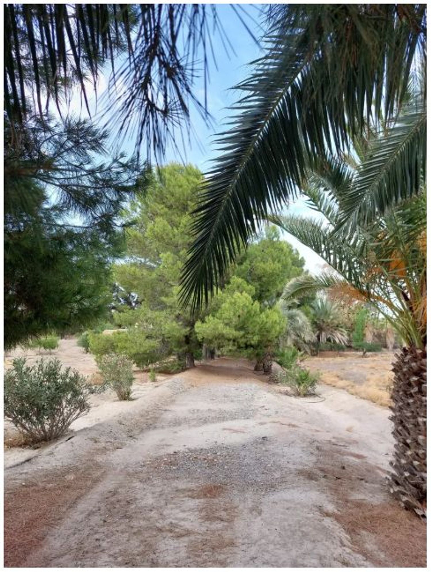 Cortijo en Cortijo en Rambla de Partaloa s/n - Foto 10