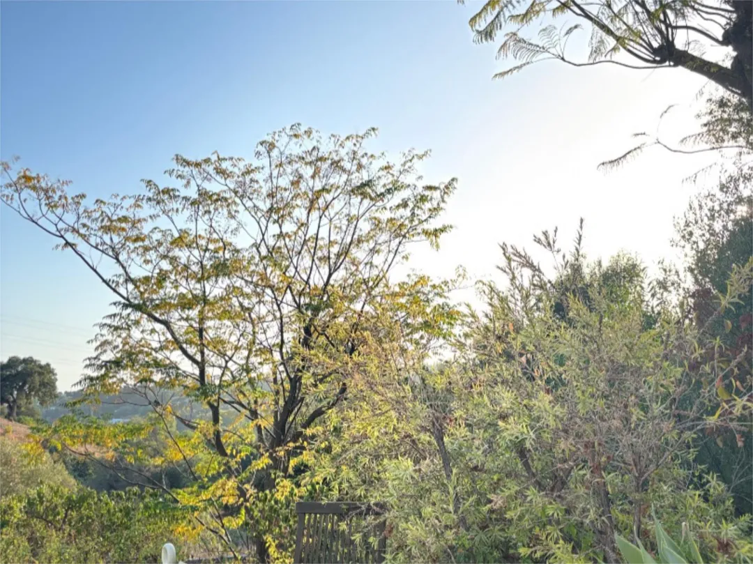 Chalet en  Calle de la Palmera 6 - Foto 6