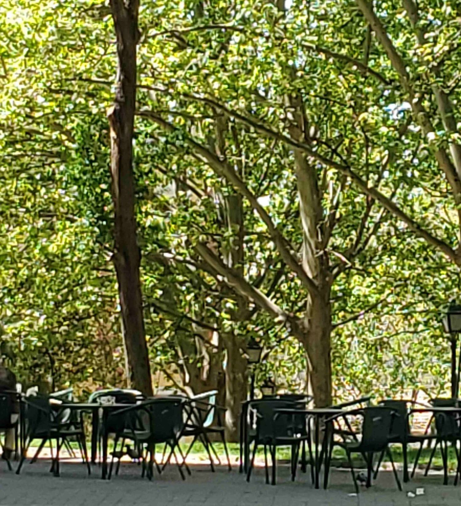 Ático en calle de la Paloma, 6 - Foto 23