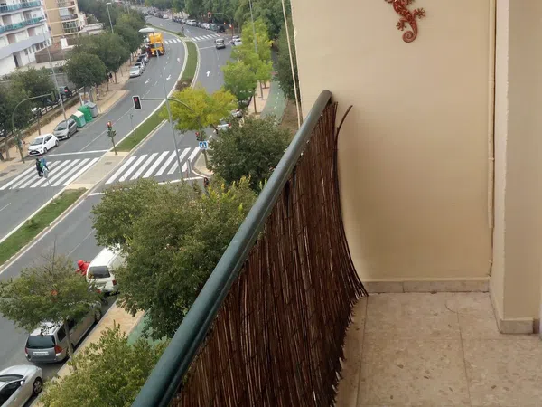 Piso en Calle Ambrosio de la Cuesta, 9 NmeroPlantacuartapiso, Bellavista - Foto 14