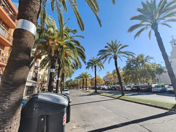 Estudio en Paseo de la Glorieta, 26, Molino de la Vega - Zafra, Molino de la Vega - Zafra - Foto 3