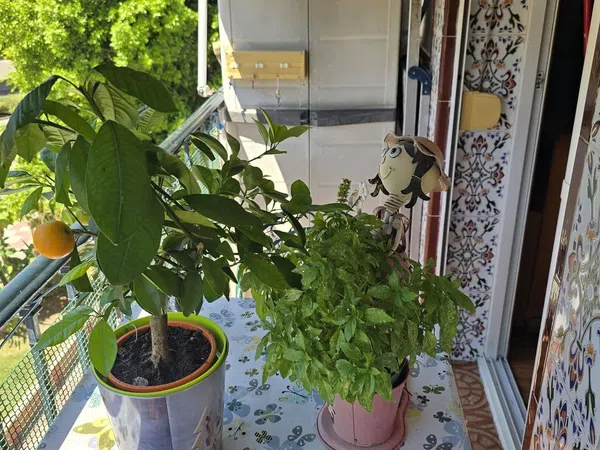 Piso en Avenida Valle Inclán, 41, Rodeo Alto-Guadaiza-La Campana - Foto 2