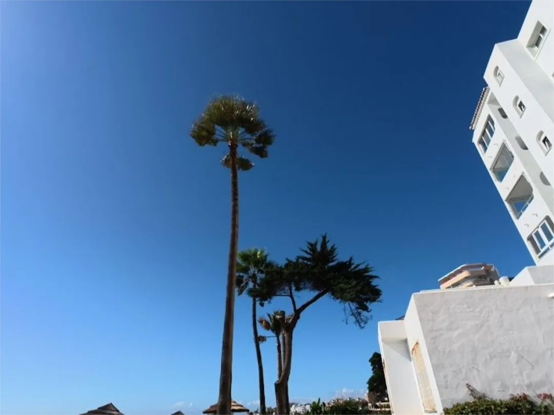 Piso en  Urbanización El Juncal Sur 35 - Foto 32
