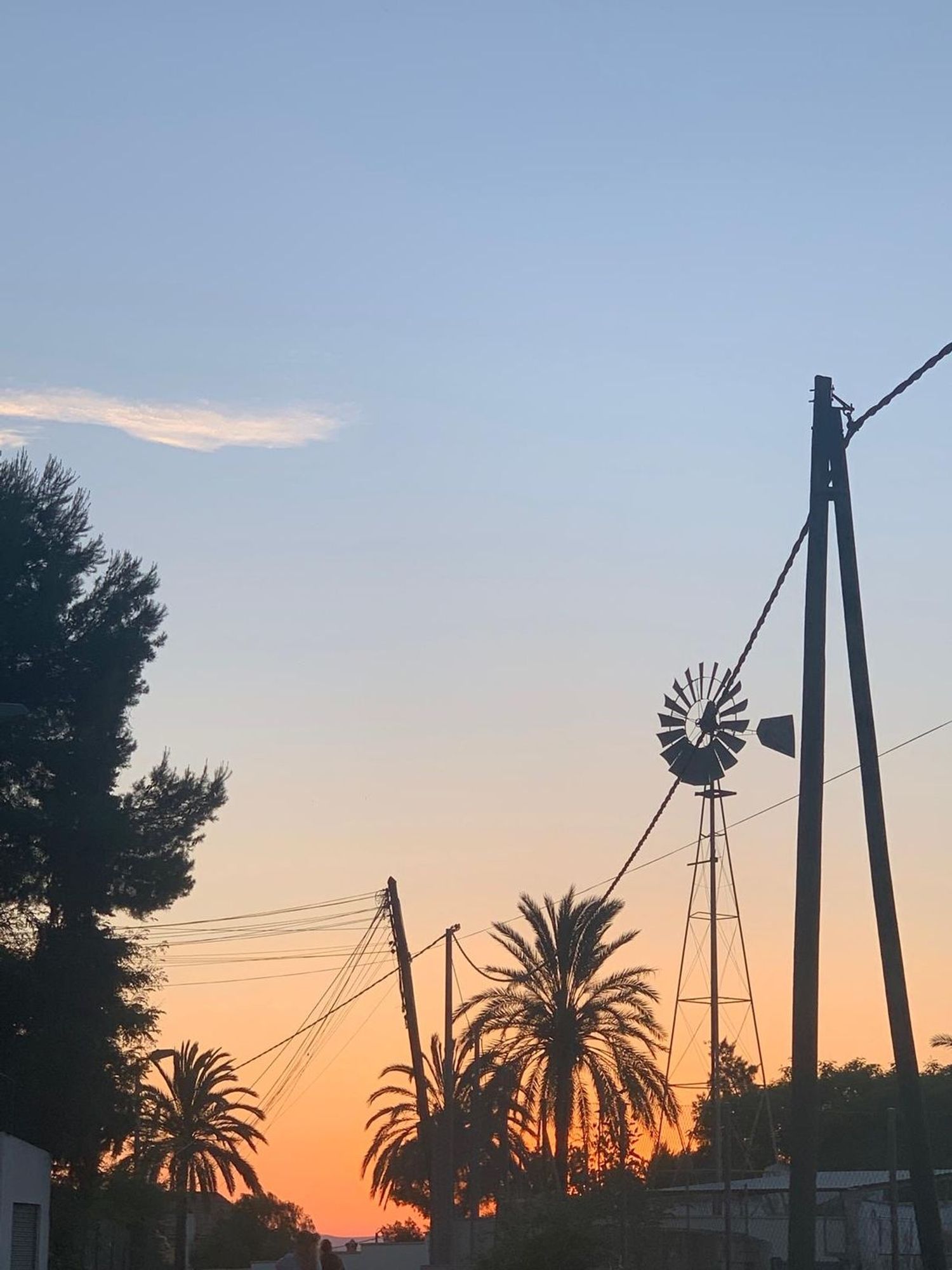 Piso en calle Olivos, 17 - Foto 26