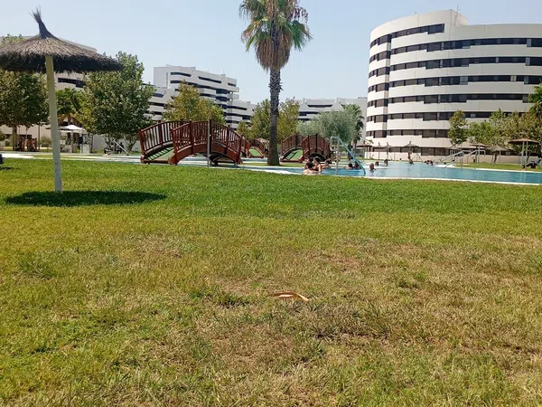 Ático en Via Hercúlea, 3, Palmete-Padre Pío-Hacienda San Antonio - Foto 15