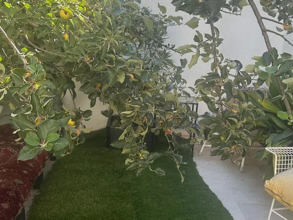 Casa o chalet independiente en Avenida de Majadahonda, 27, Zona Pueblo - Foto 10