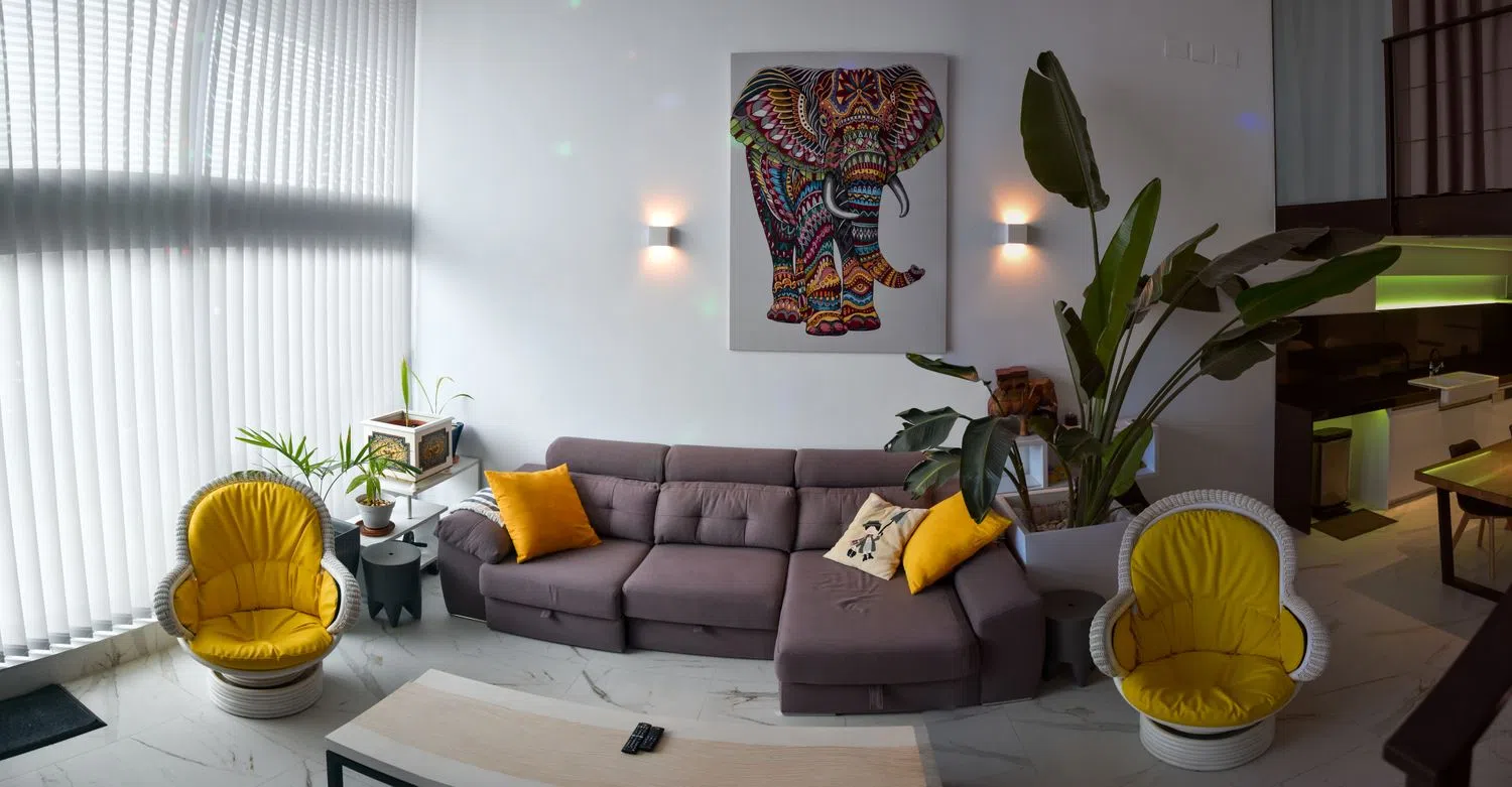 Estudio en calle de la Creu Roja, 1 - Foto 1