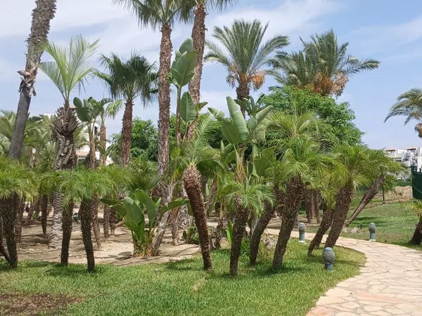 Ático en Avenida Alcazaba, 115, Las Salinas, Las Salinas - Foto 30