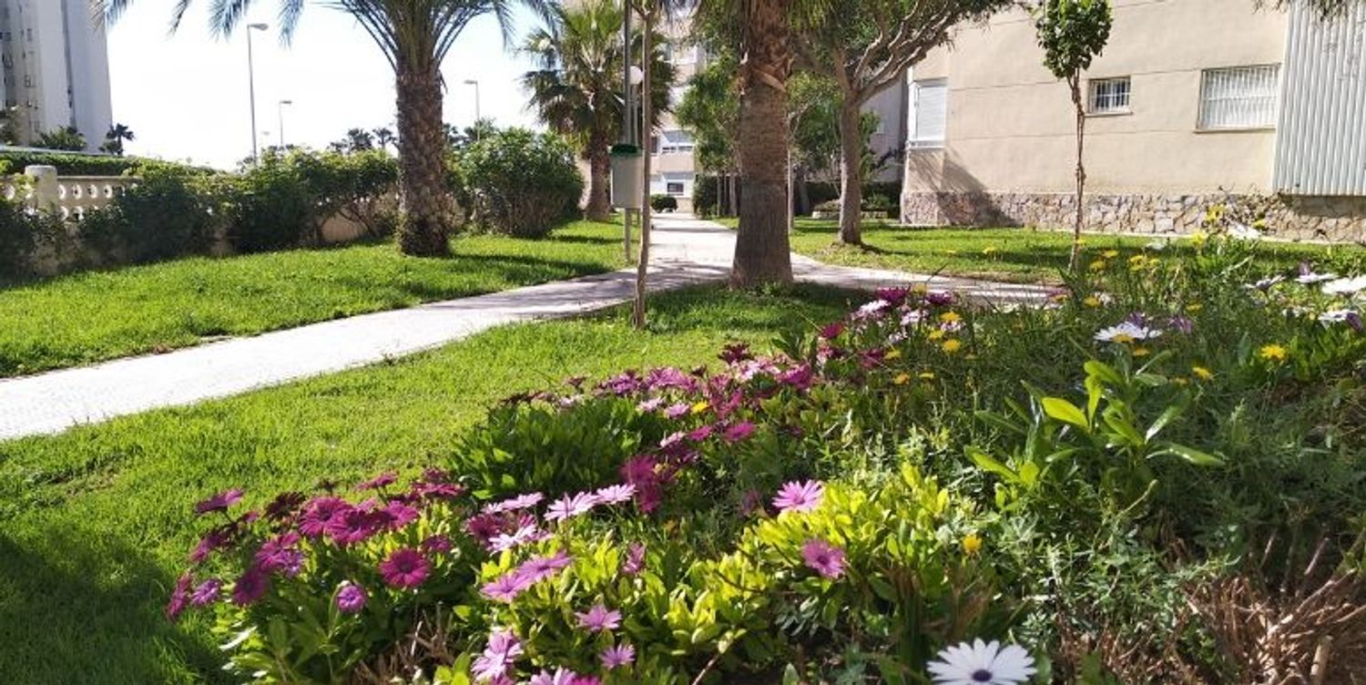 Piso en Músico José Mira Figueroa f8,3, 3, El Palmeral-Urbanova-Tabarca - Foto 15