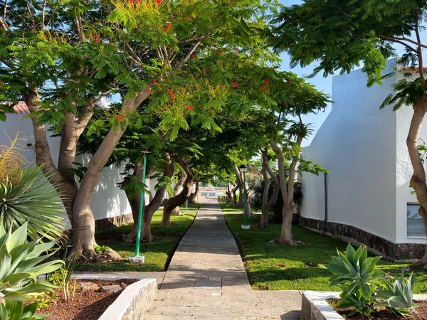 Chalet adosado en Avenida Touroperador Finnmatkat, 9, Maspalomas-Meloneras, Maspalomas-Meloneras - Foto 39