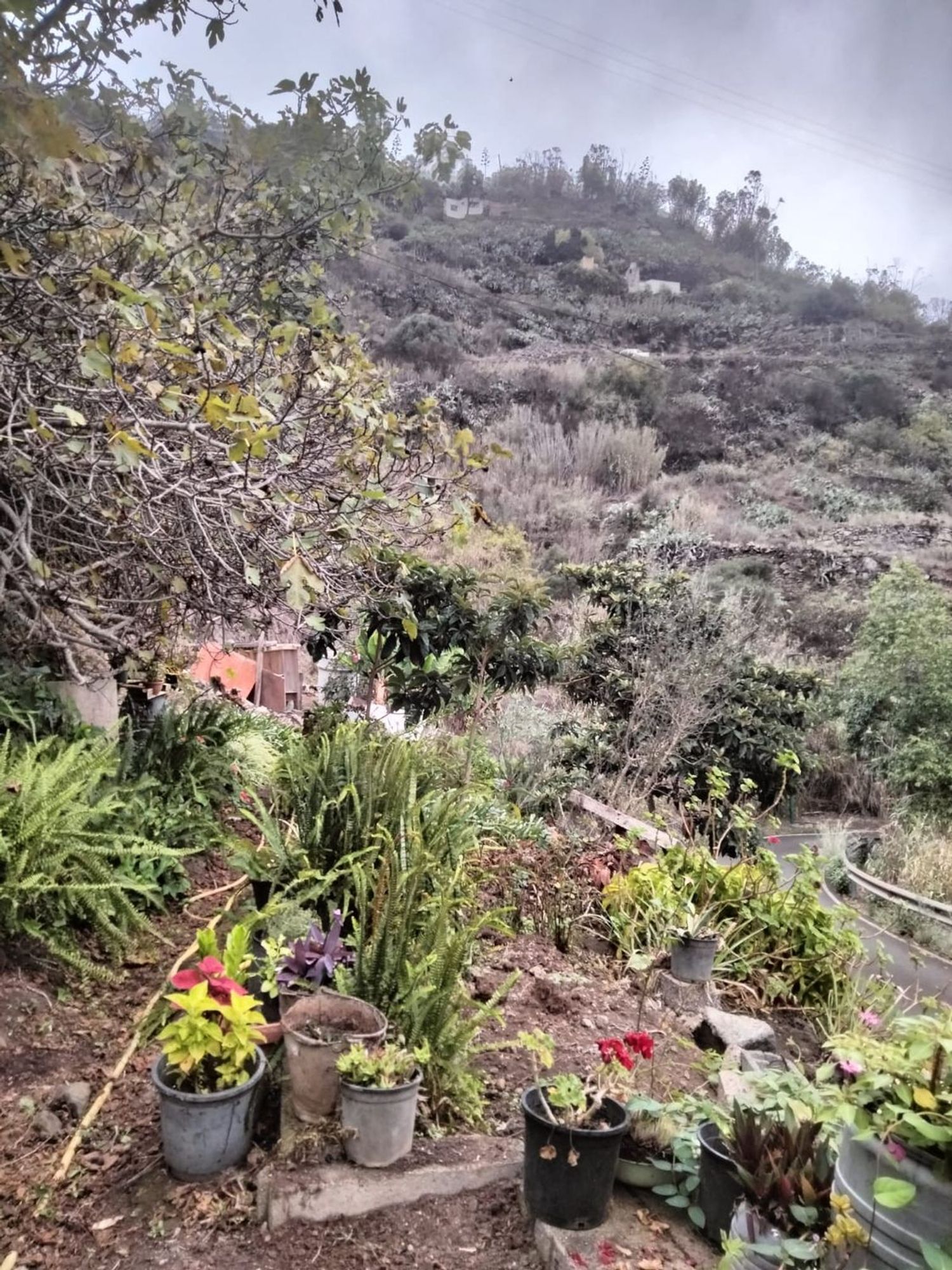 Casa rural en Camino la Fuente, 8 - Foto 5