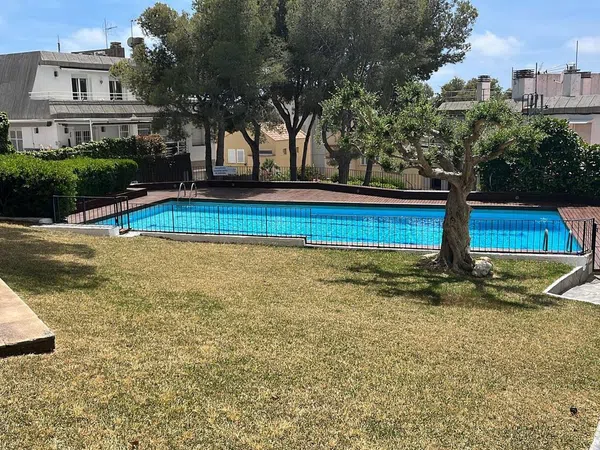 Chalet pareado en Paseo pujades, 7, Vallpineda-Santa Bárbara - Foto 10
