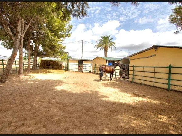 Finca rústica en Vereda solivellas, 91 - Foto 27