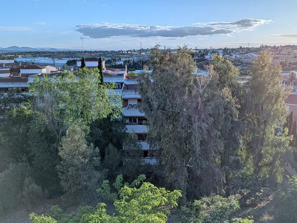 Piso en Urbanización los Olivos, 11 - Foto 18