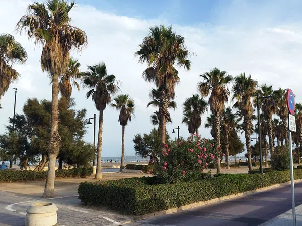 Piso en Avenida de la Malva-Rosa, 128 -130, Playa de la Malvarrosa - Foto 21
