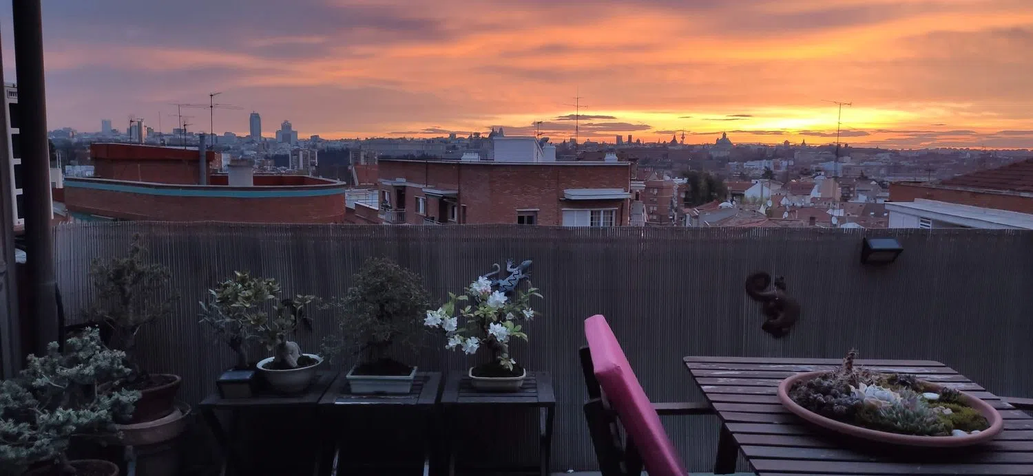 Ático en paseo de los Jesuitas, 46 - Foto 1