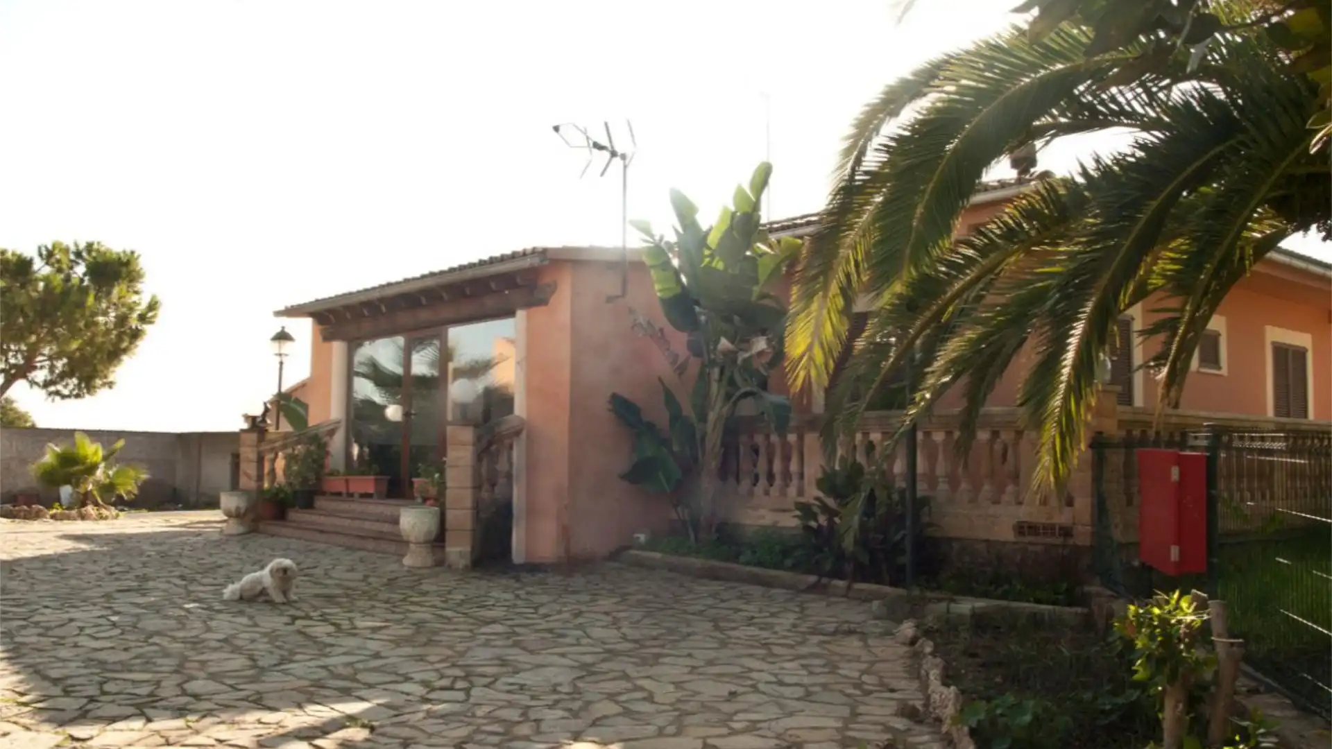 Finca rústica en  Diseminado 8725- Sa Casa Blanca 363 - Foto 10