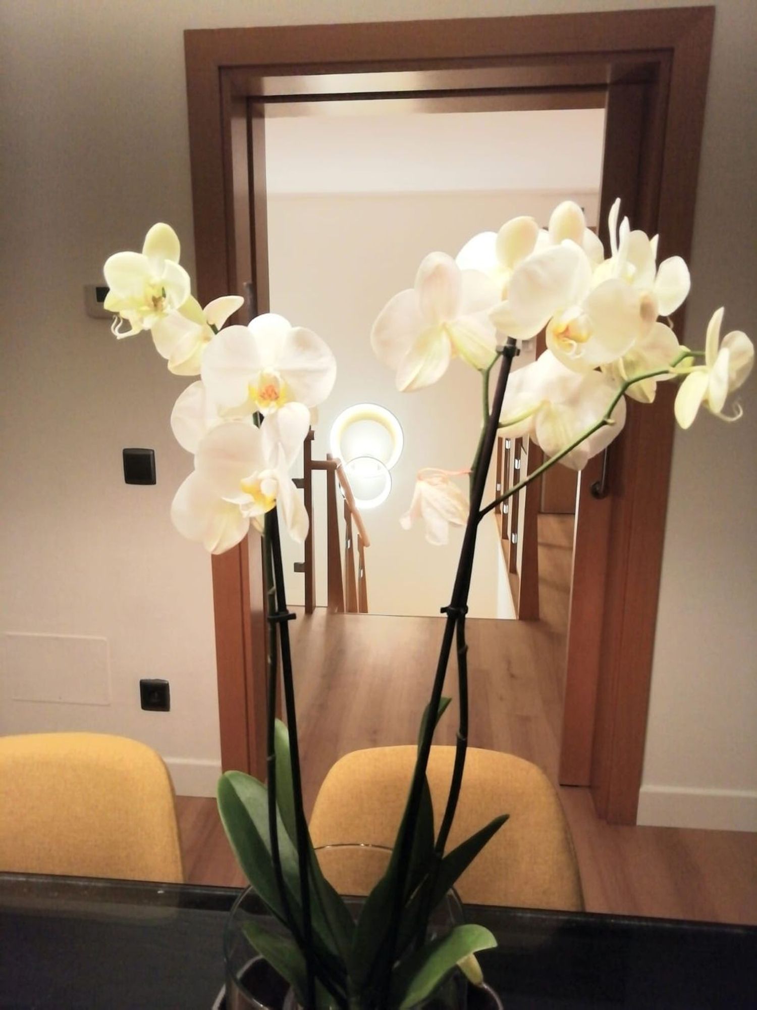 Ático en Barrio Aravaca - Foto 21