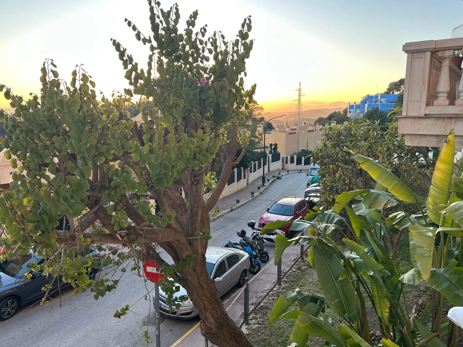 Piso en cardo Cuco, 11 - Foto 4