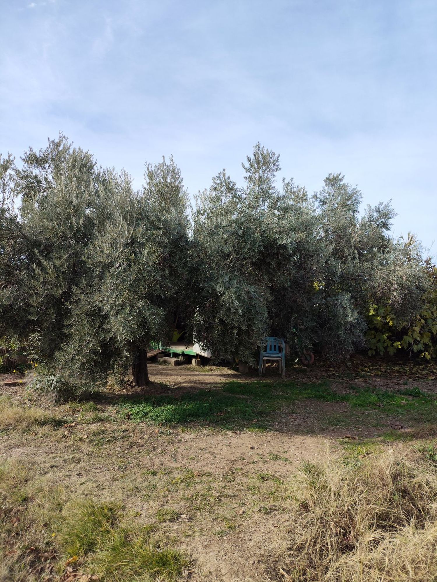 Casa rural en camino Enmedio s/n sn - Foto 17