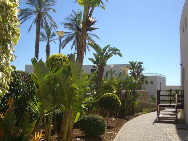 Loft en Calle El Pinar, 3, Alto de los Monteros - Foto 2
