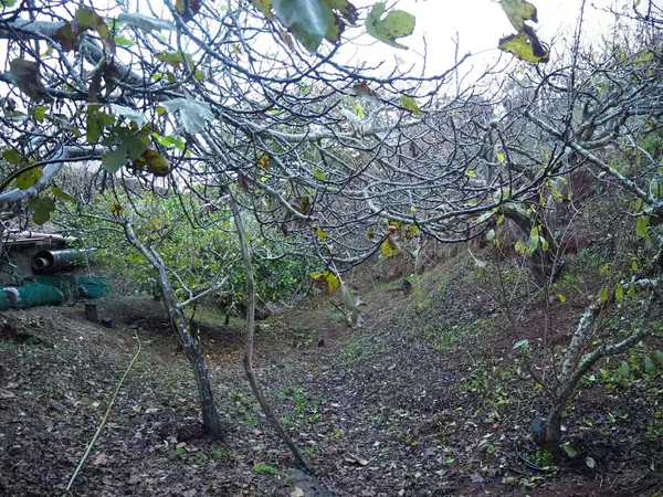 Casa independiente en calle el Sino, 37 - Foto 10