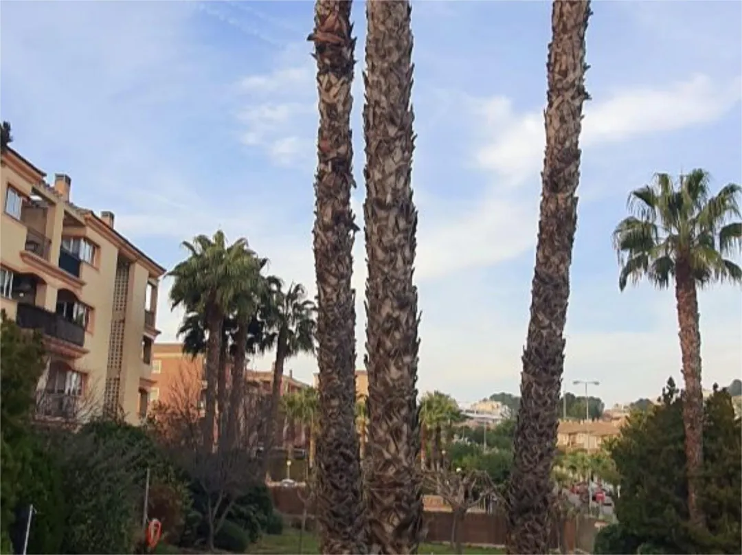 Piso en  Avenida del Golf 137 - Foto 1