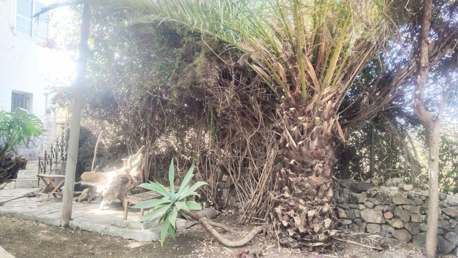 Finca rústica en Carretera Enlace el Ramal, 18 L, Centro, Centro - Foto 9