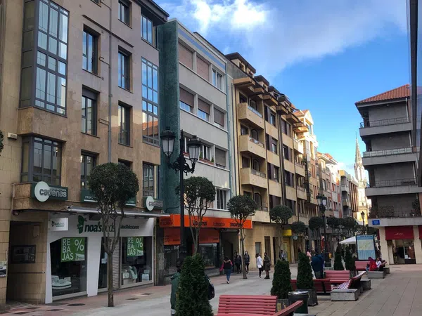 Piso en Barrio Salesas-Foncalada-Campoamor - Foto 1