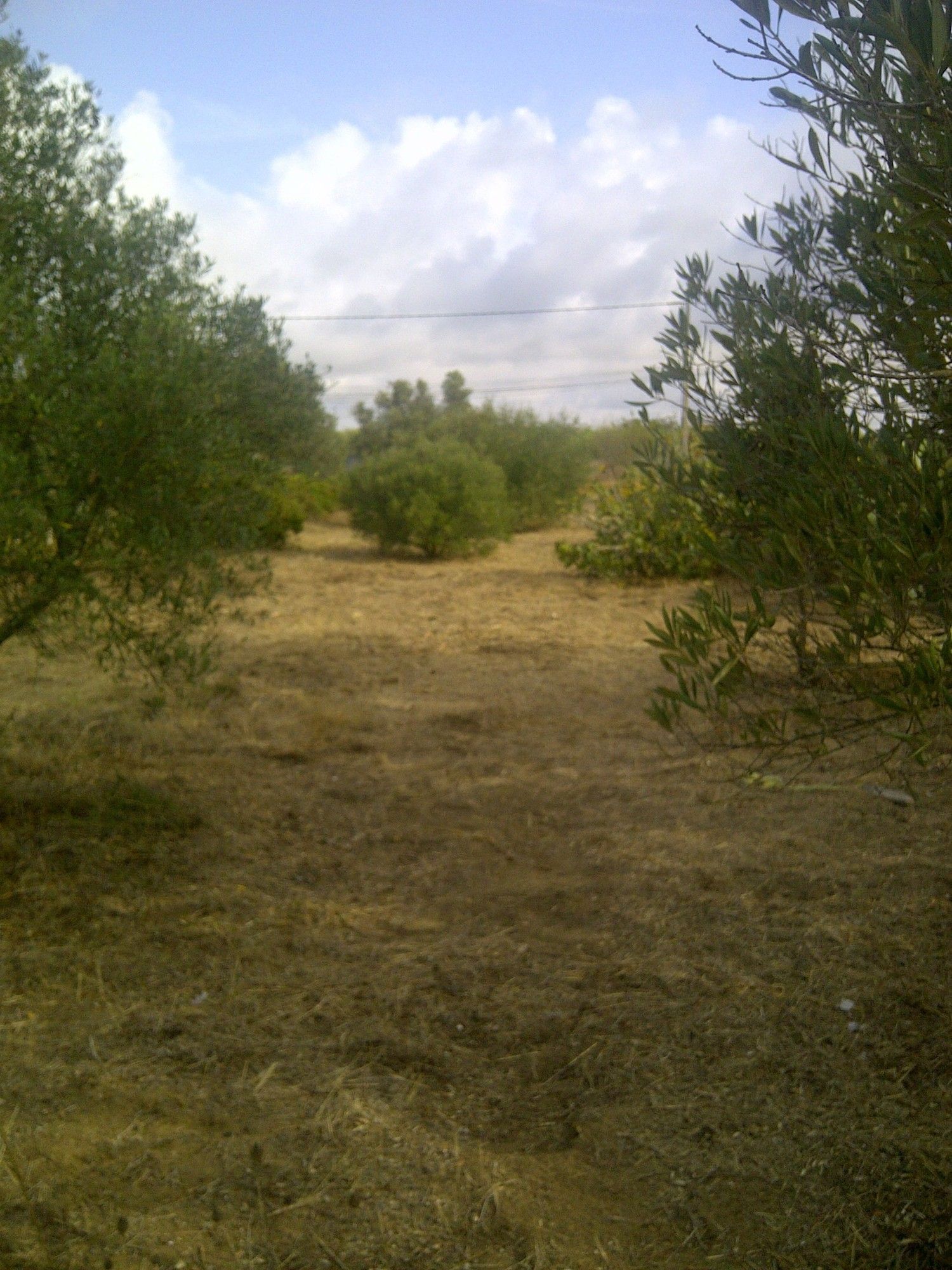 Casa independiente en camino de Melilla s/n - Foto 6