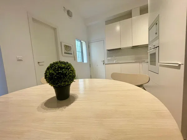 Alquiler de estudio en Lira, 21 - Foto 11