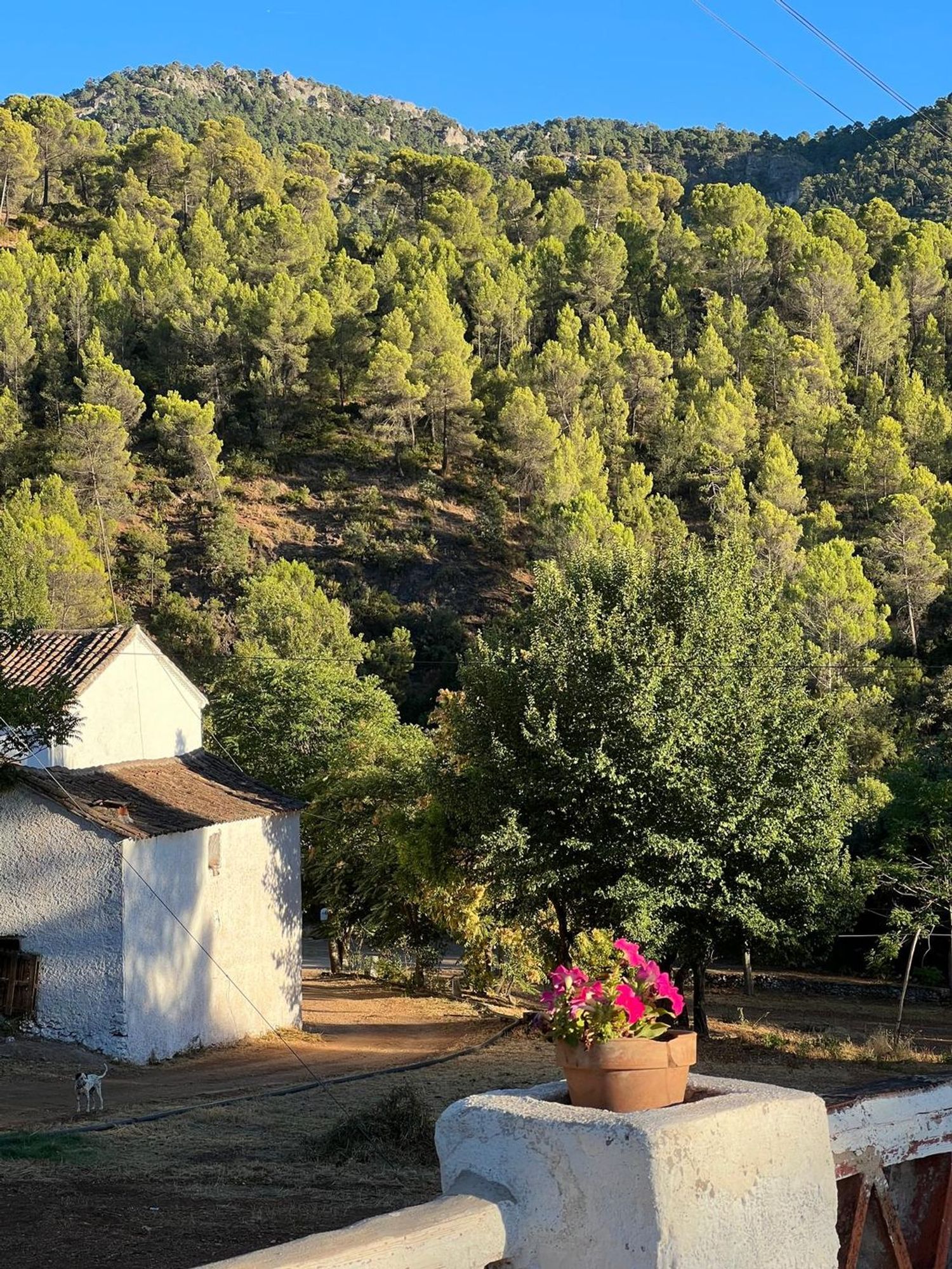 Cortijo en Carretera a Cortijos Nuevos s/n - Foto 28
