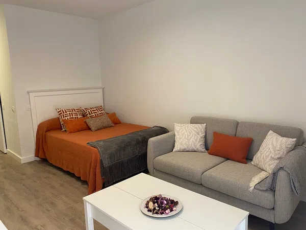 Estudio en calle Paraíso, 1