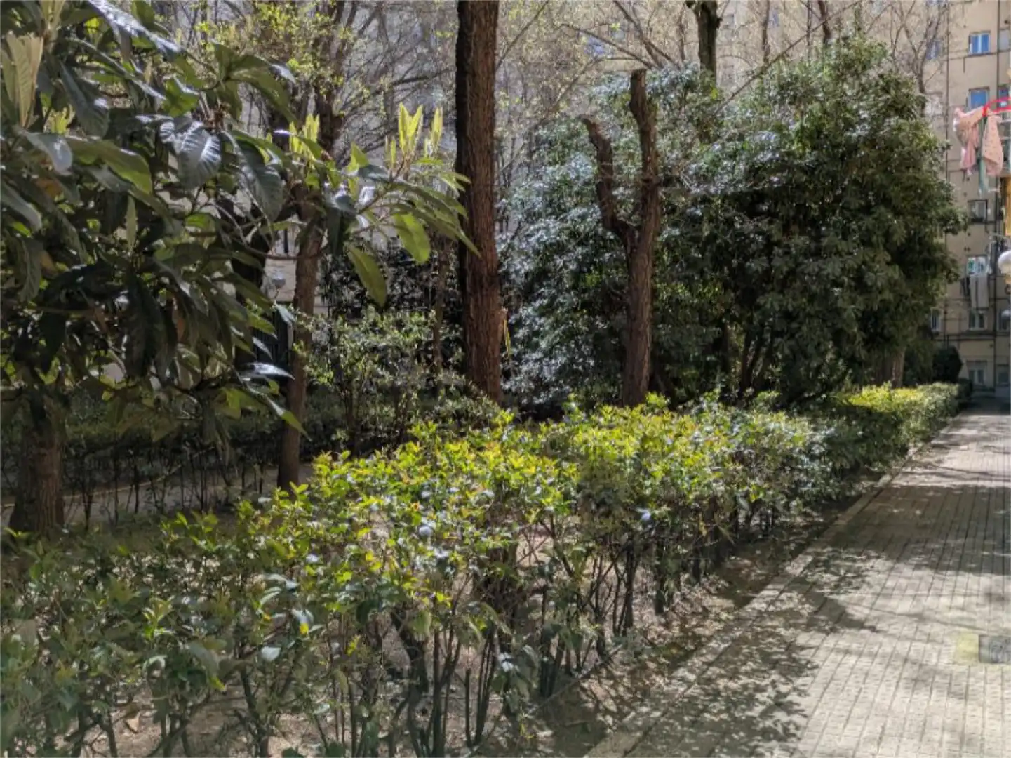 Piso en  Madrid Capital - Foto 65