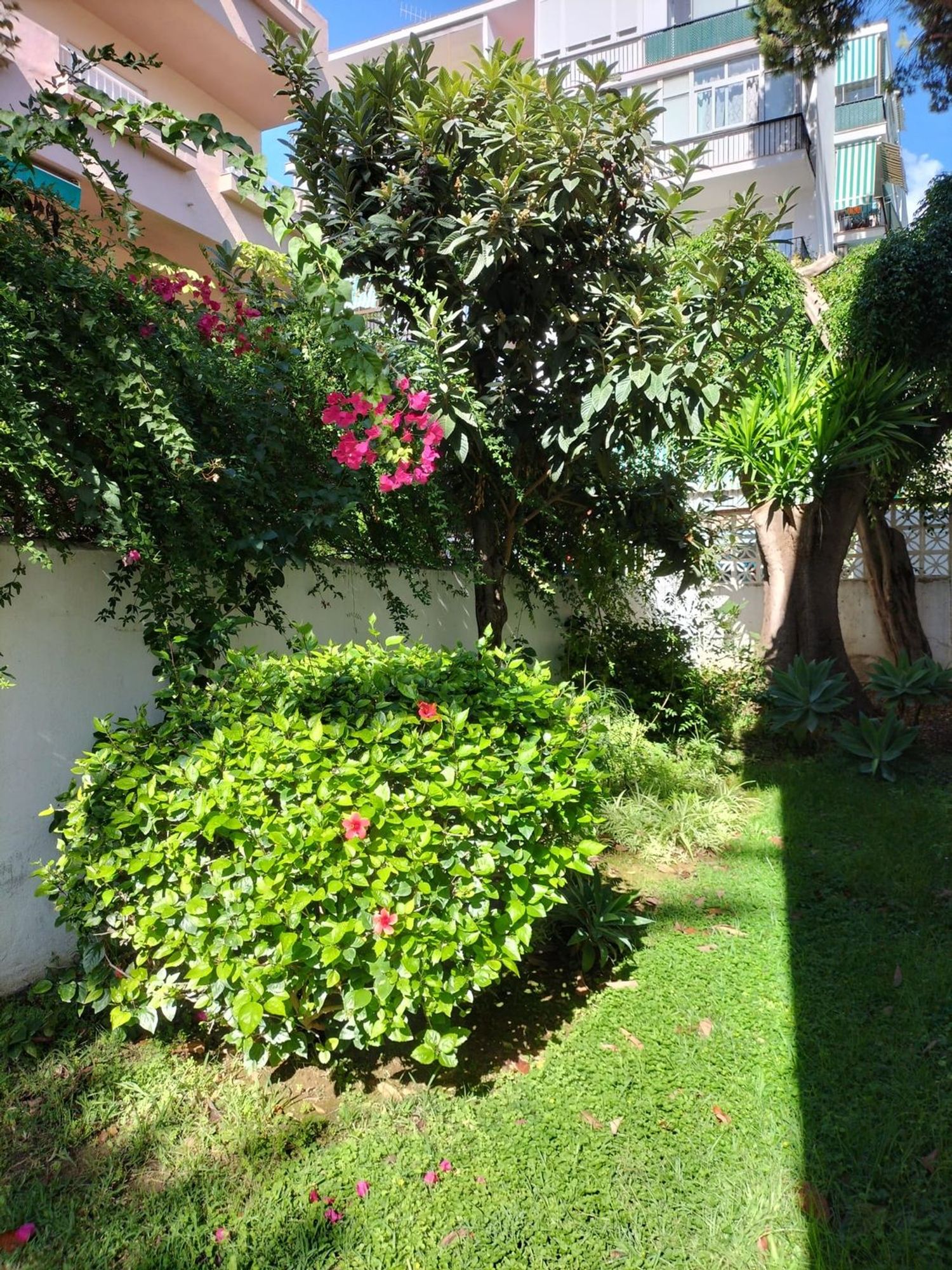 Piso en calle Pablo Casals, 10 - Foto 6