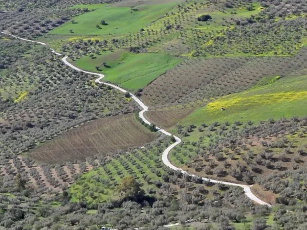 Finca rústica en montes s/n - Foto 26