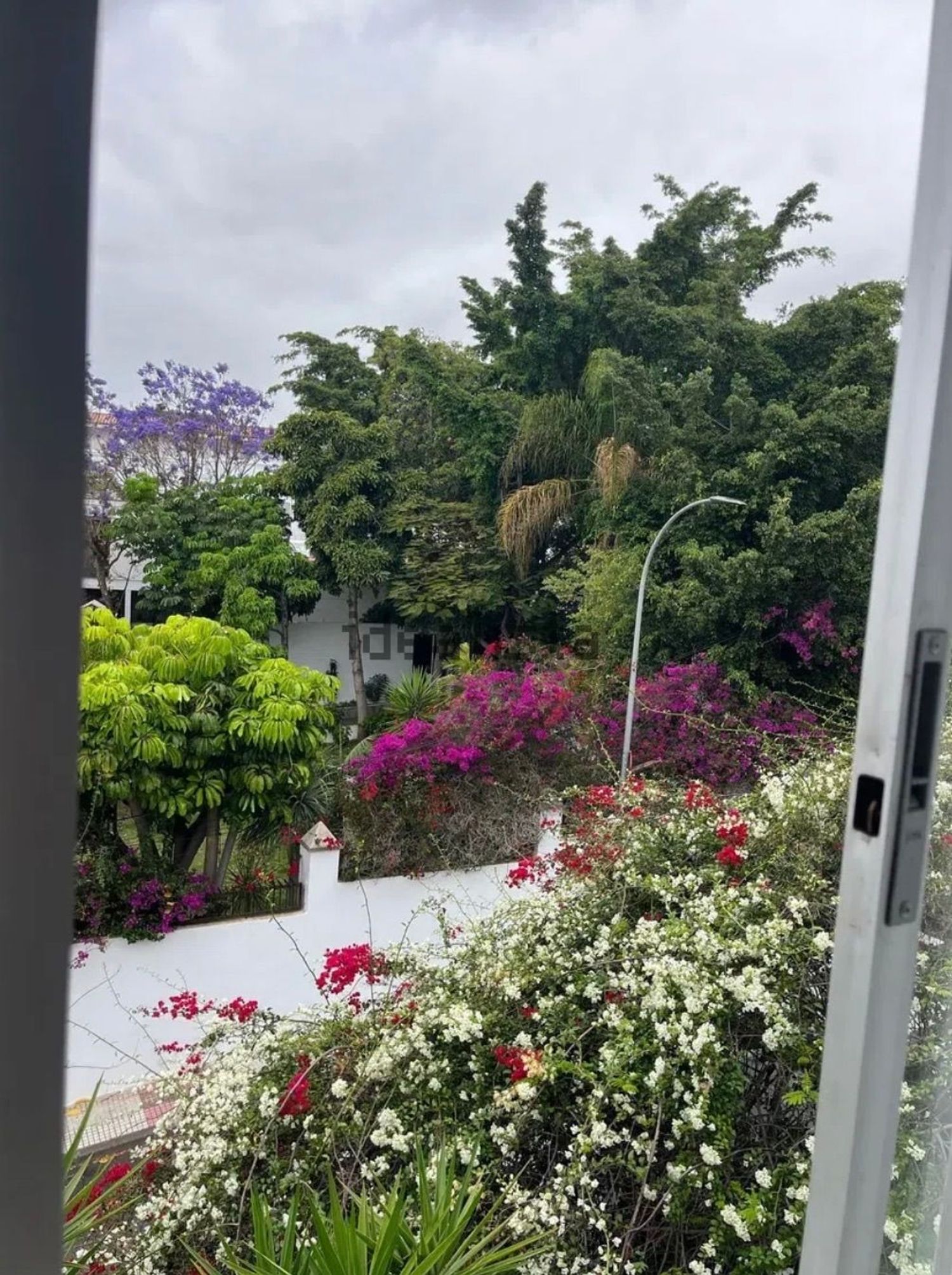 Piso en Calle Emilio Serra Fernández De Moratín, 2, Ifara-Las Mimosas - Foto 5