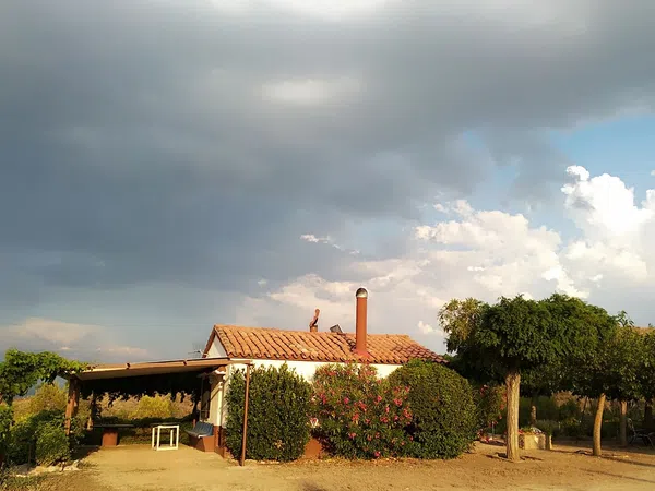 Finca rústica en Carretera de San Antonio s/n - Foto 1
