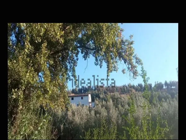 Cortijo en Cortijo en Calle Antonio Machado s/n - Foto 3