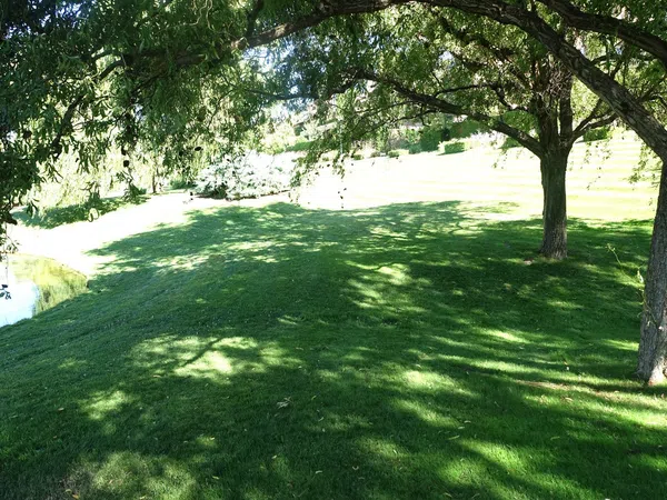 Ático en Paseo del Hontanar, La Finca - Foto 11