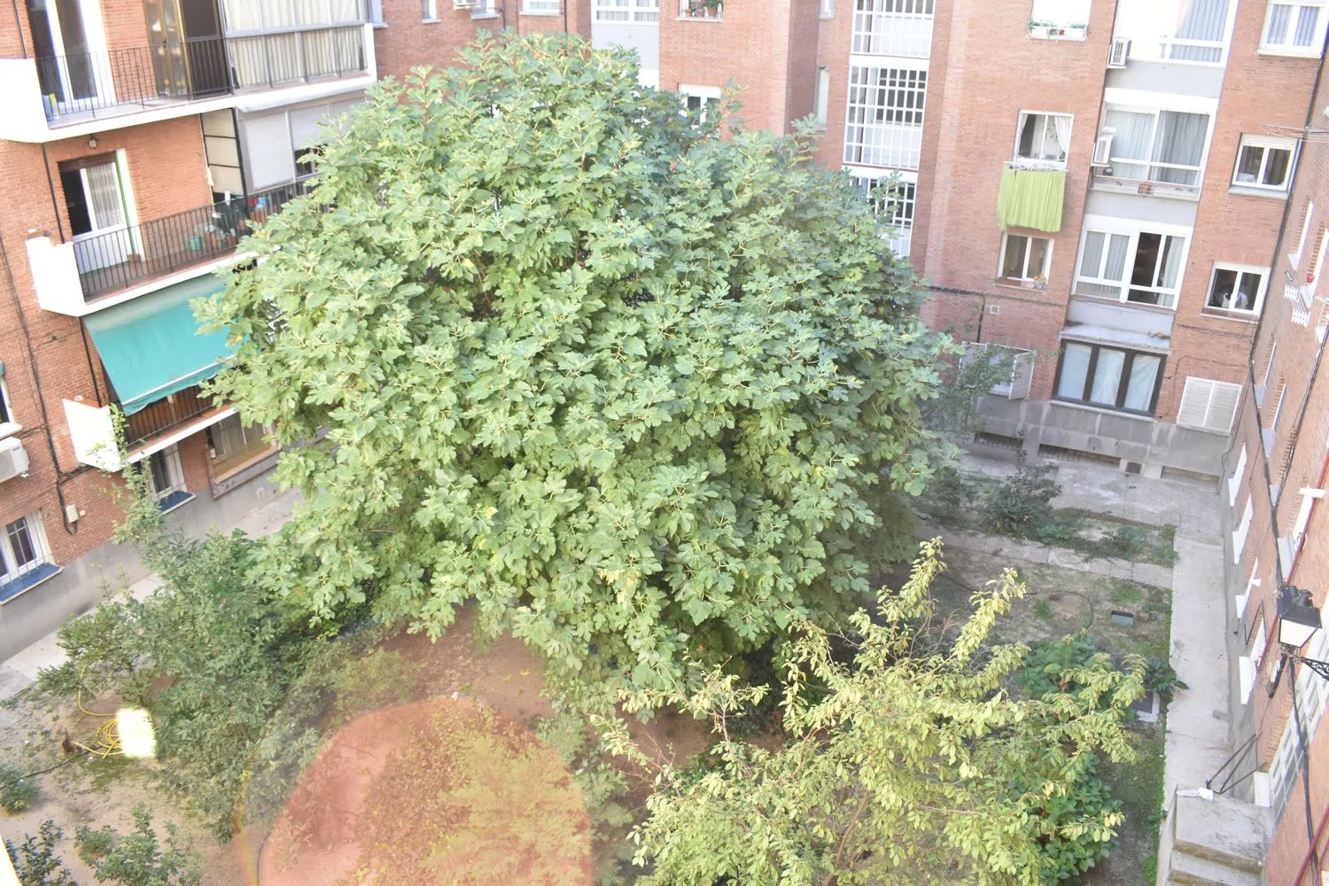 Piso - Foto 5