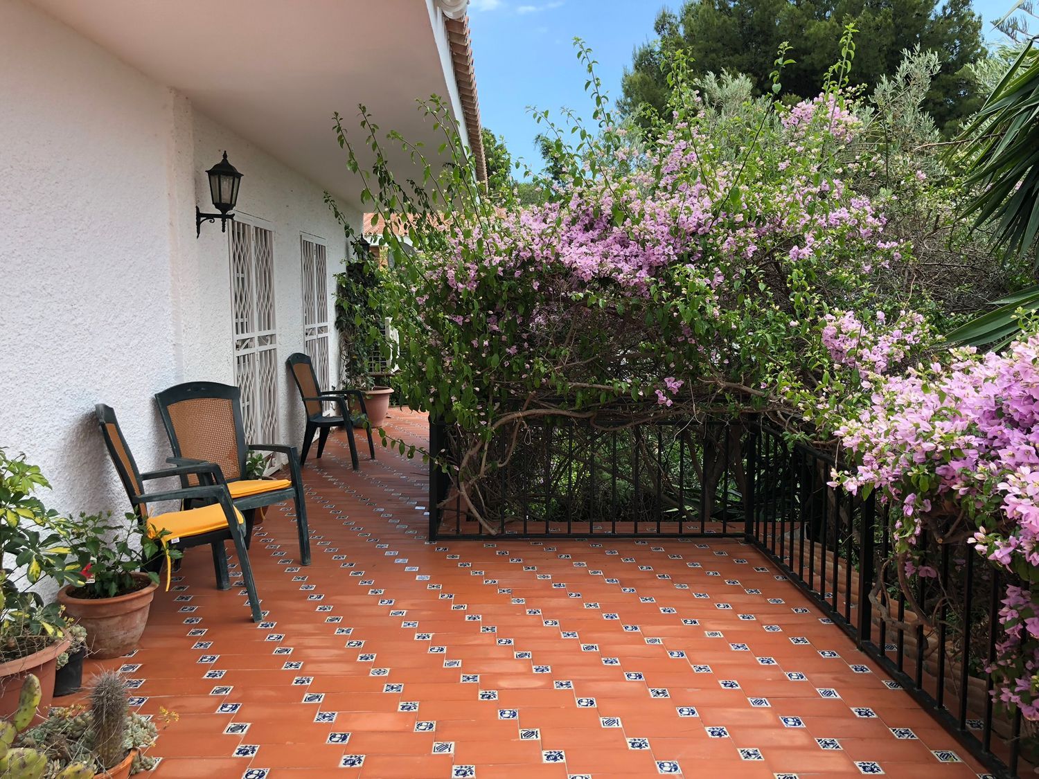 Casa o chalet independiente en Calle Tulipanes, 6, Pinares de San Antón - Foto 22