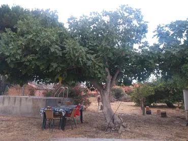 Terreno Residencial en  Calle Casas del Padrón 14 - Foto 12